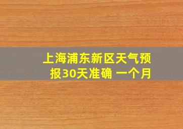 上海浦东新区天气预报30天准确 一个月